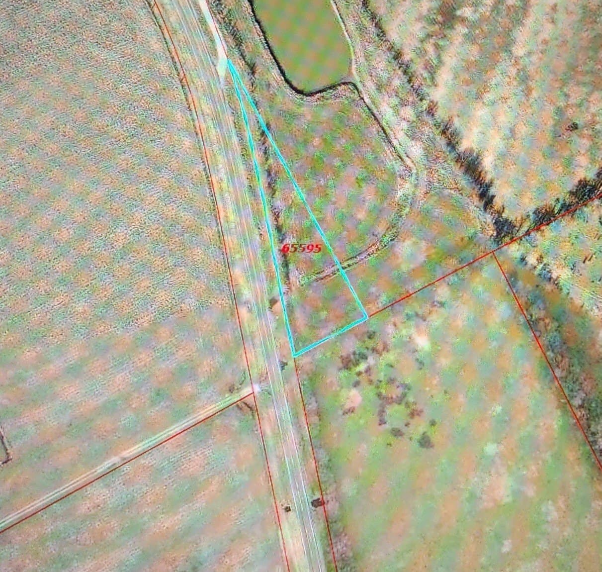 123 acres in Navarro County - photo 5