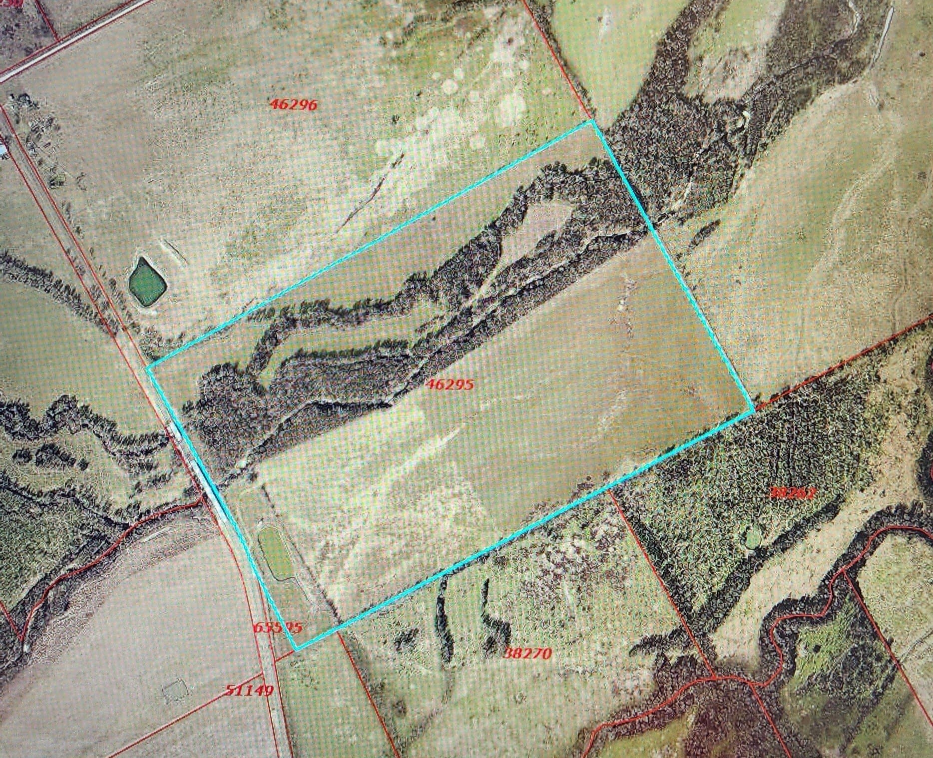 123 acres in Navarro County - photo 2