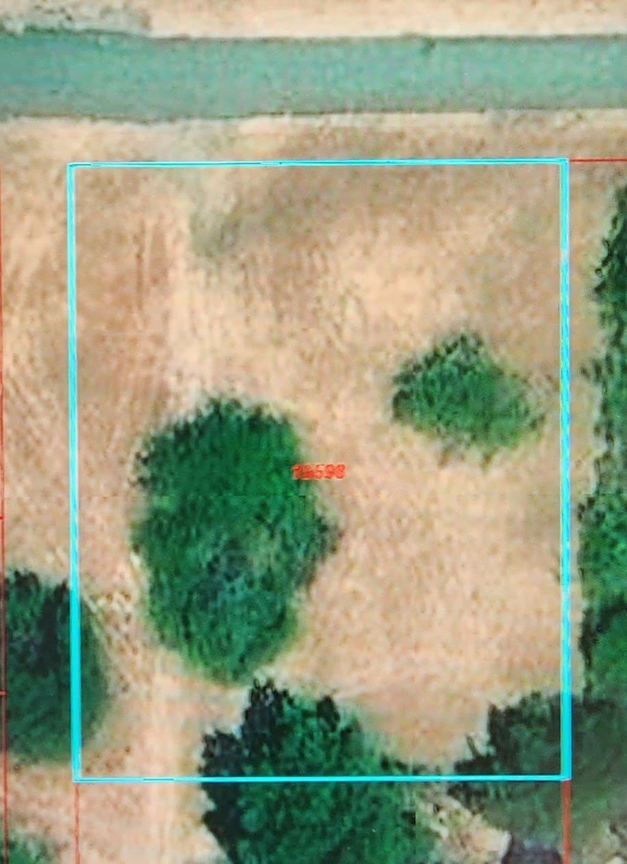 123 acres in Navarro County - photo 4