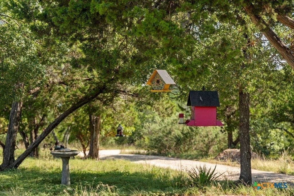 11.76 acres in Hays County - photo 32