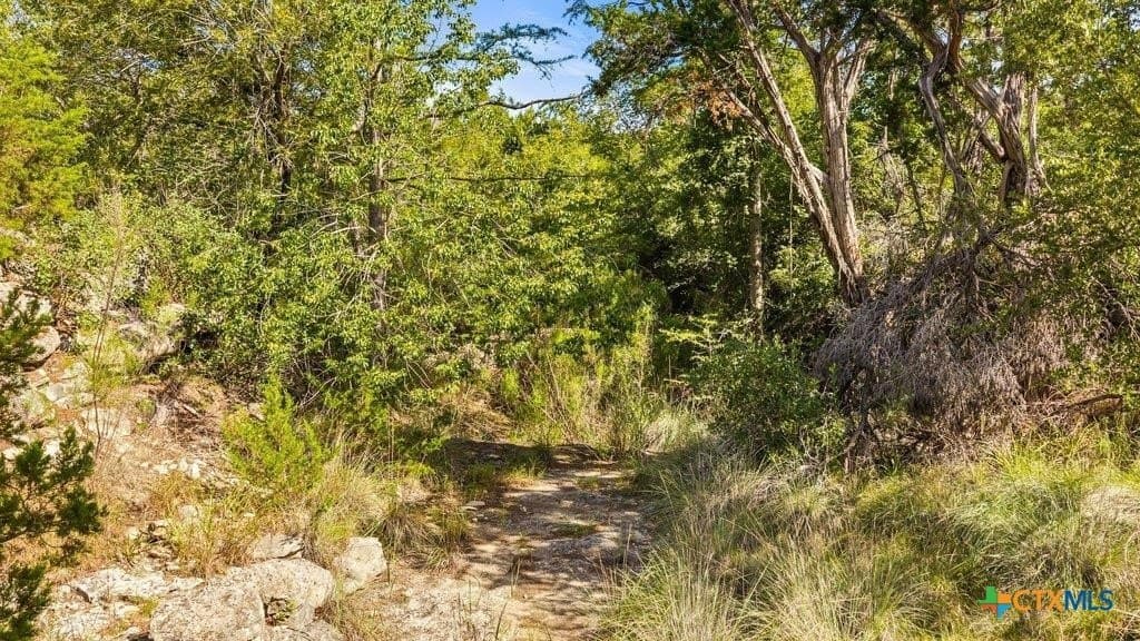 11.76 acres in Hays County - photo 38