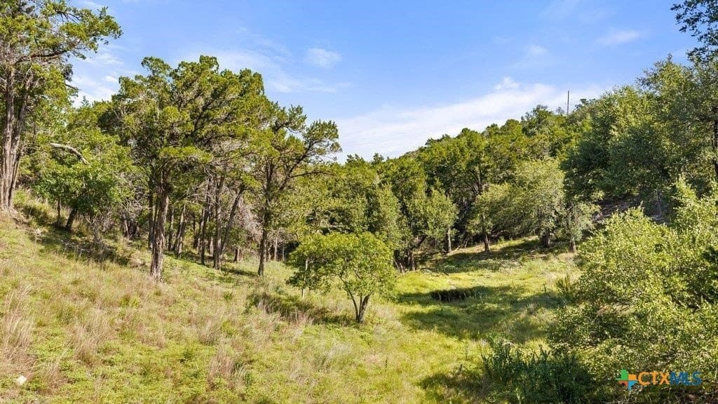 11.76 acres in Hays County - photo 39