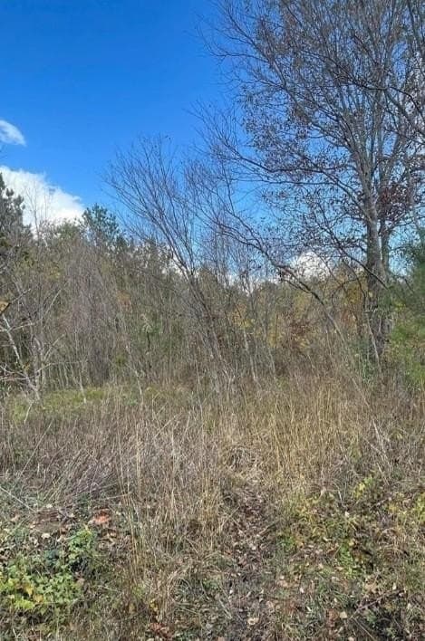 0.53 acres in Texas County