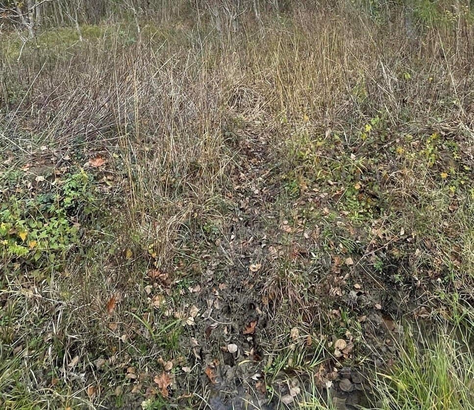 0.53 acres in Texas County gallery image 2