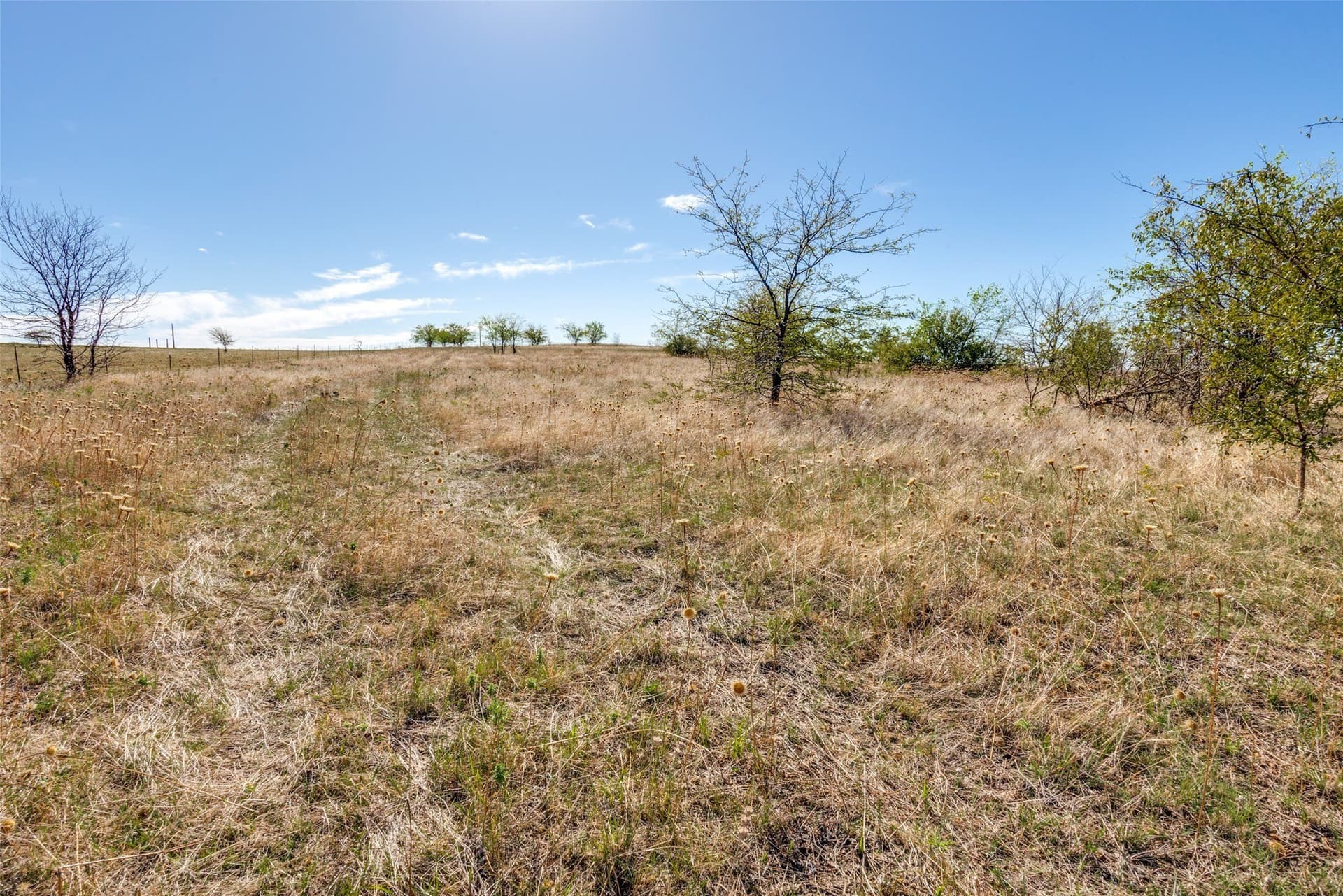 30 acres in Wise County - photo 16