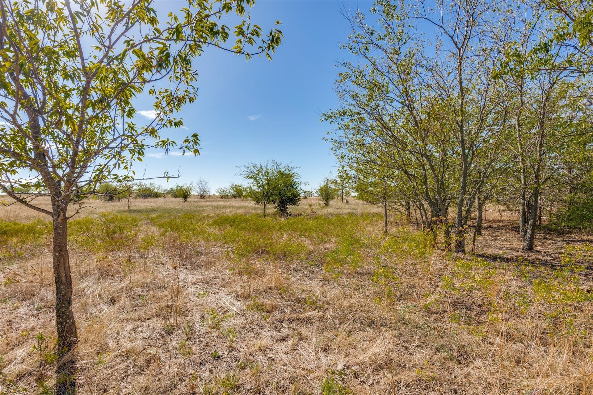 30 acres in Wise County - photo 11