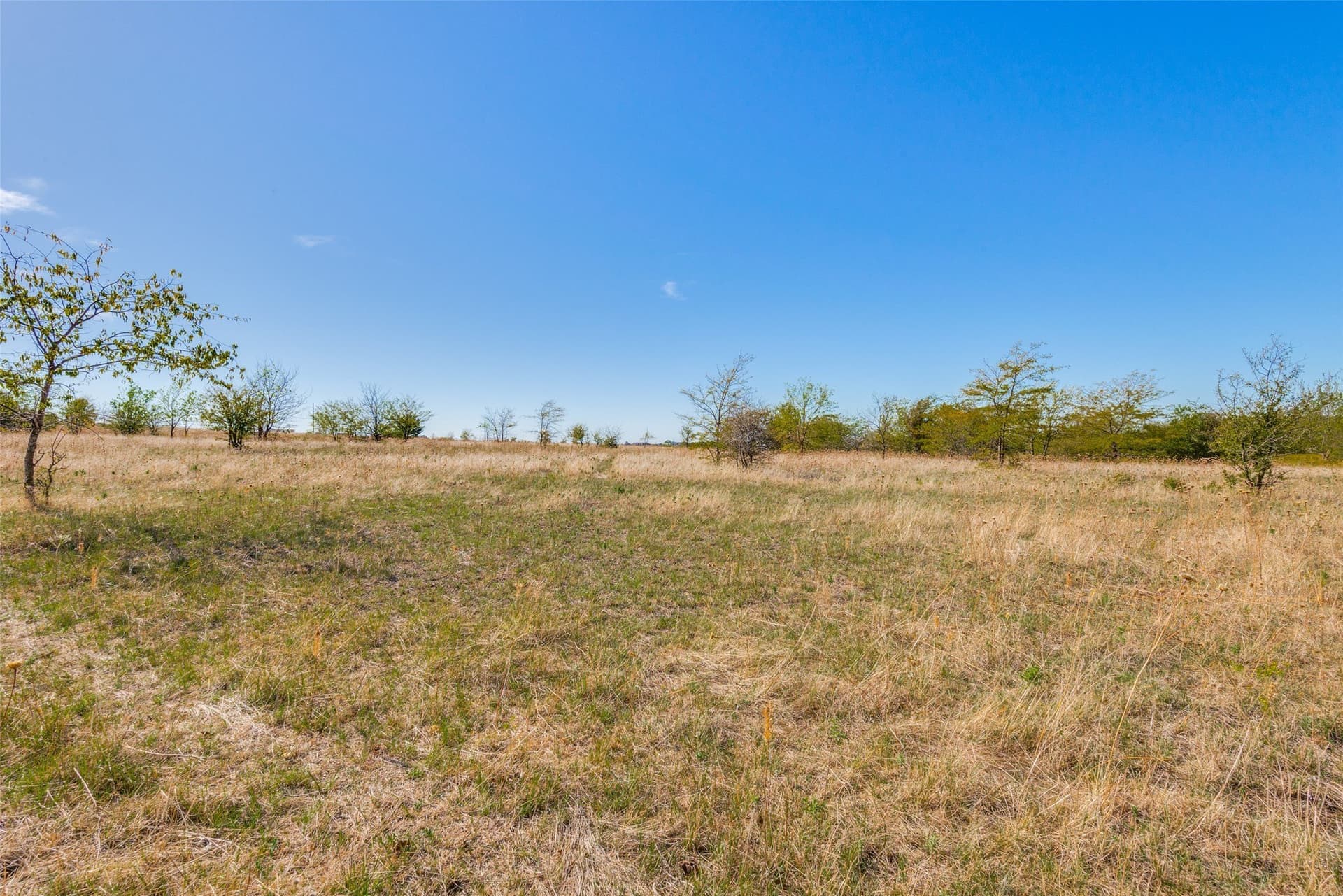 30 acres in Wise County - photo 15