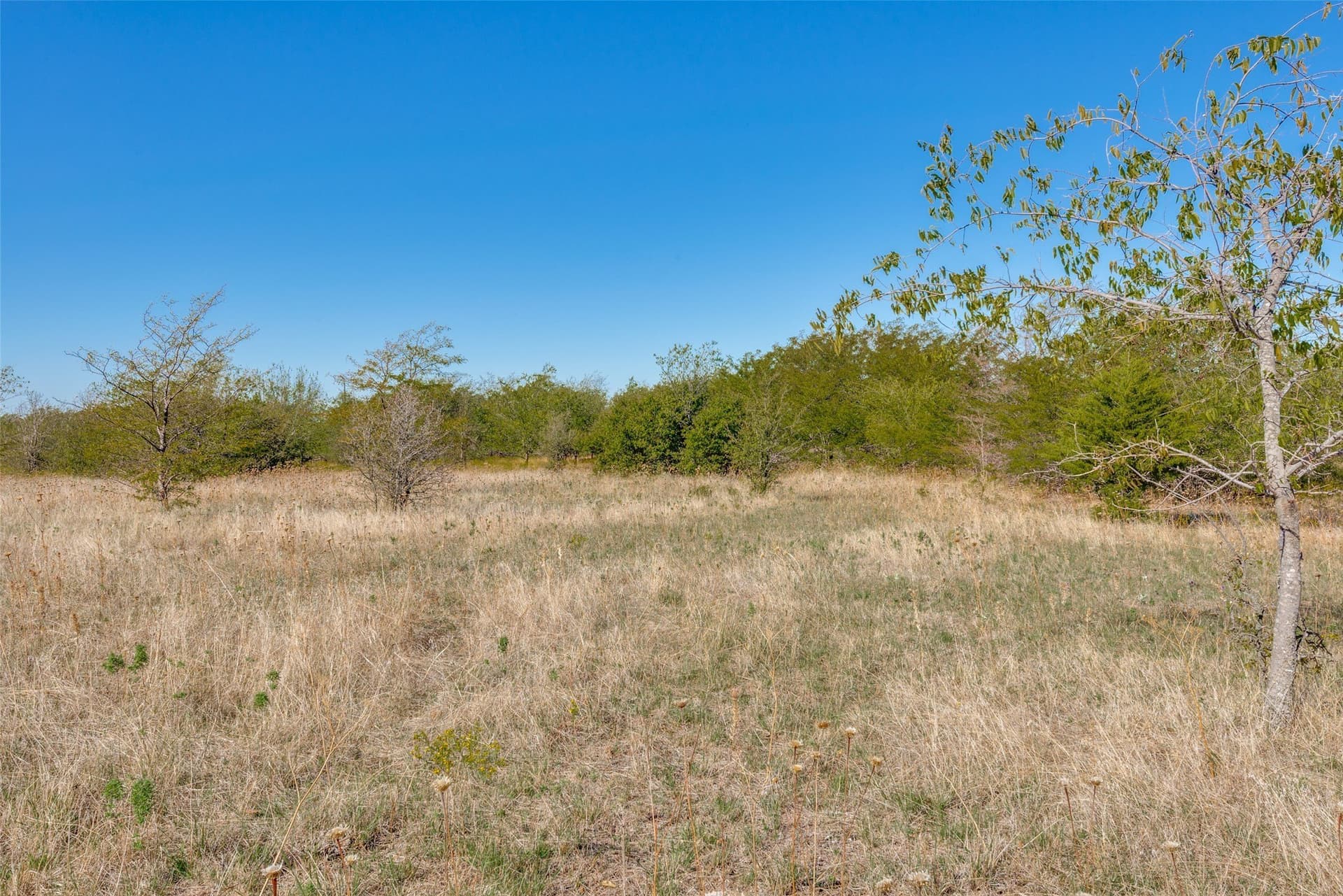 30 acres in Wise County - photo 18