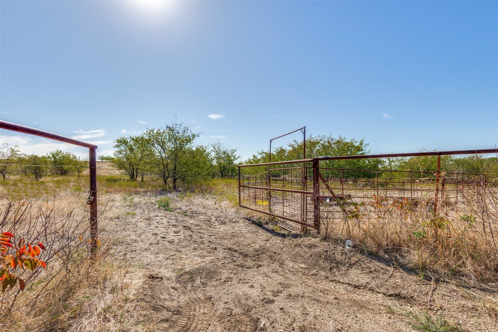 30 acres in Wise County - photo 19