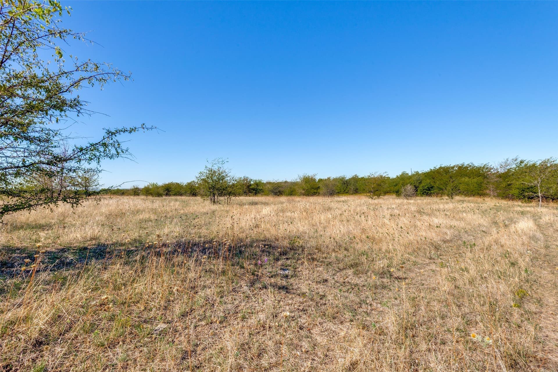 30 acres in Wise County - photo 17