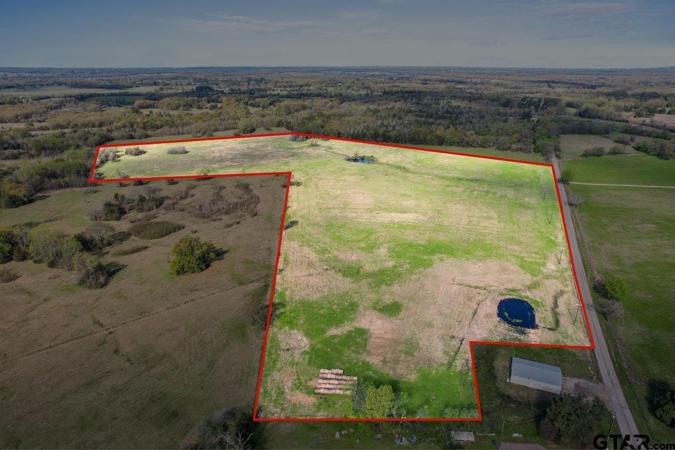 61.5 acres in Titus County gallery image 2