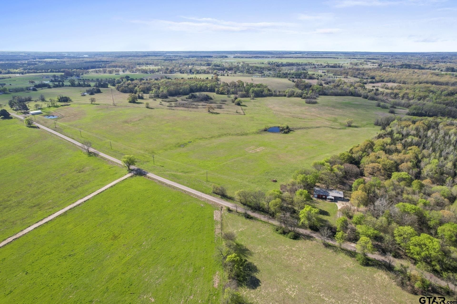 61.5 acres in Titus County featured view