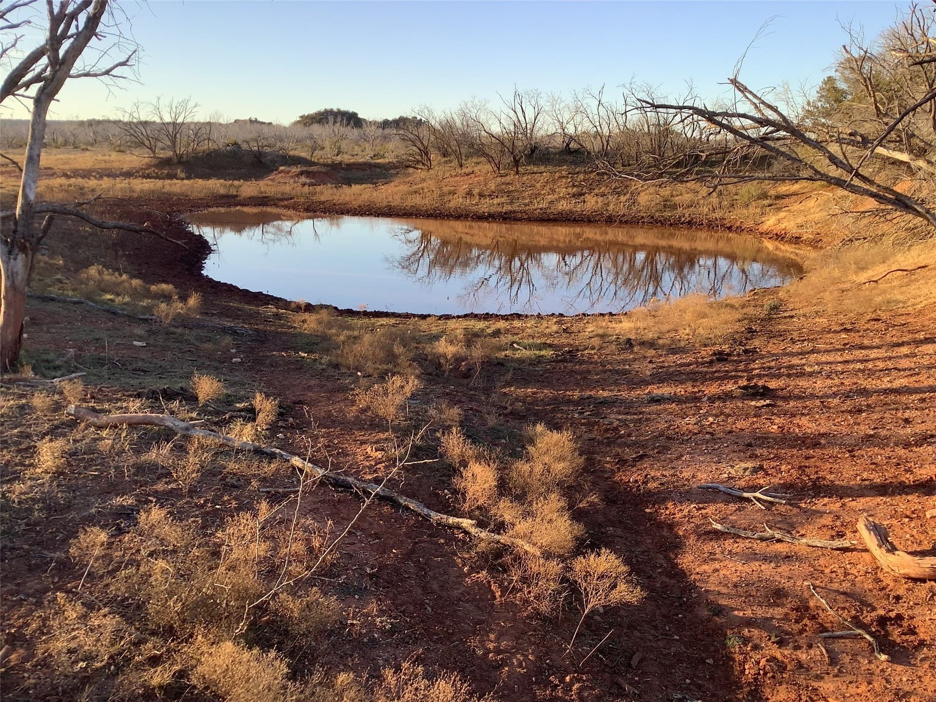 180 acres in Taylor County - photo 4