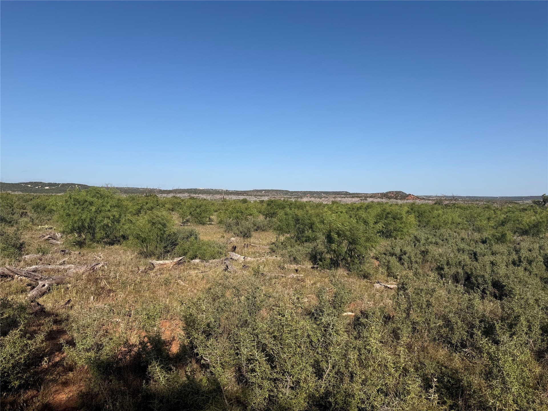 180 acres in Taylor County - photo 8