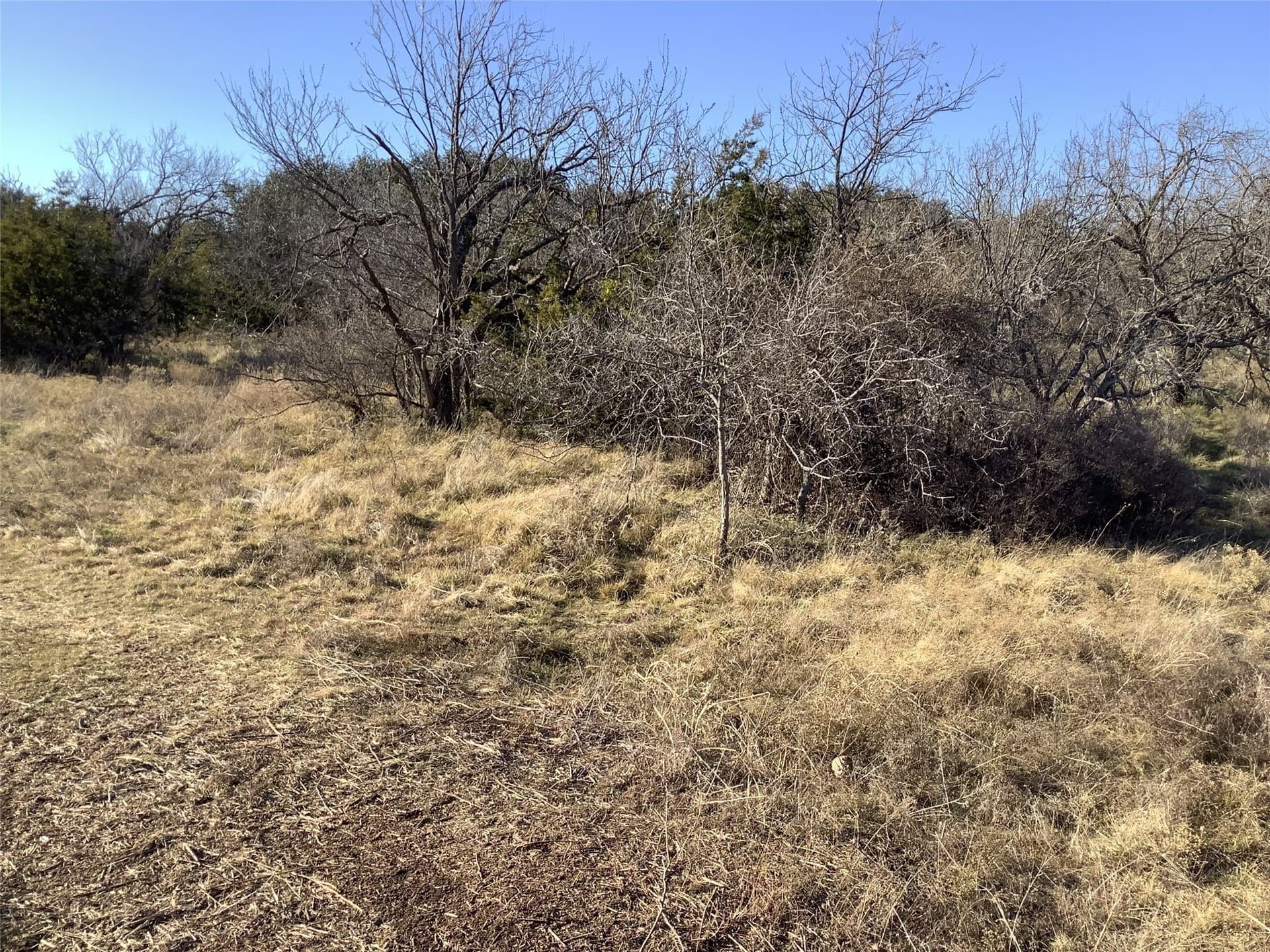 180 acres in Taylor County - photo 6