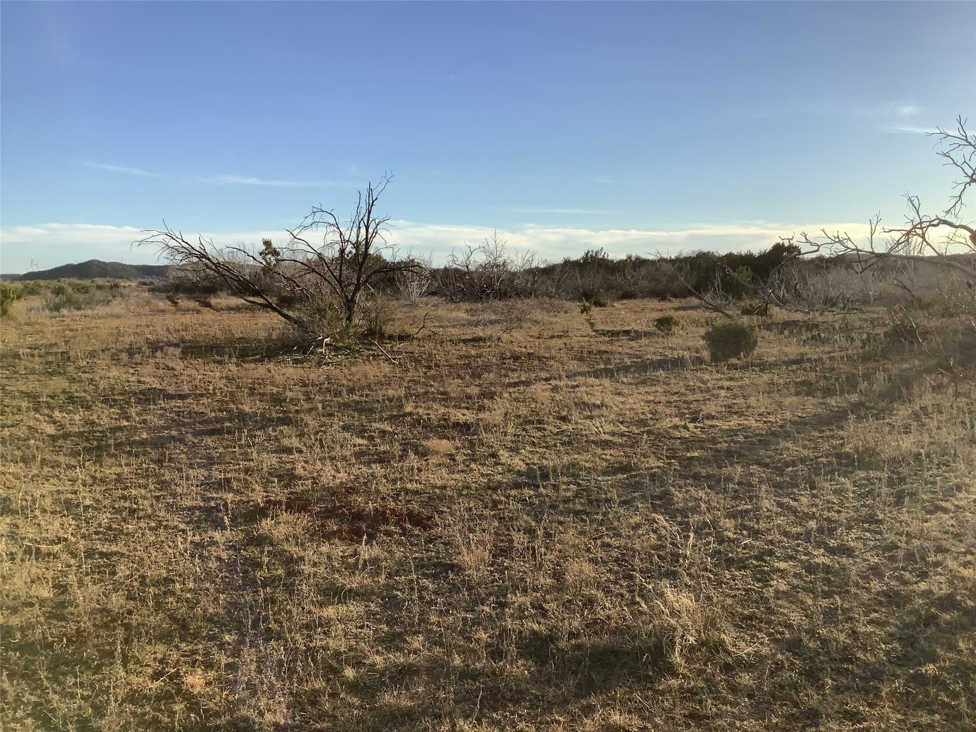 180 acres in Taylor County - photo 5