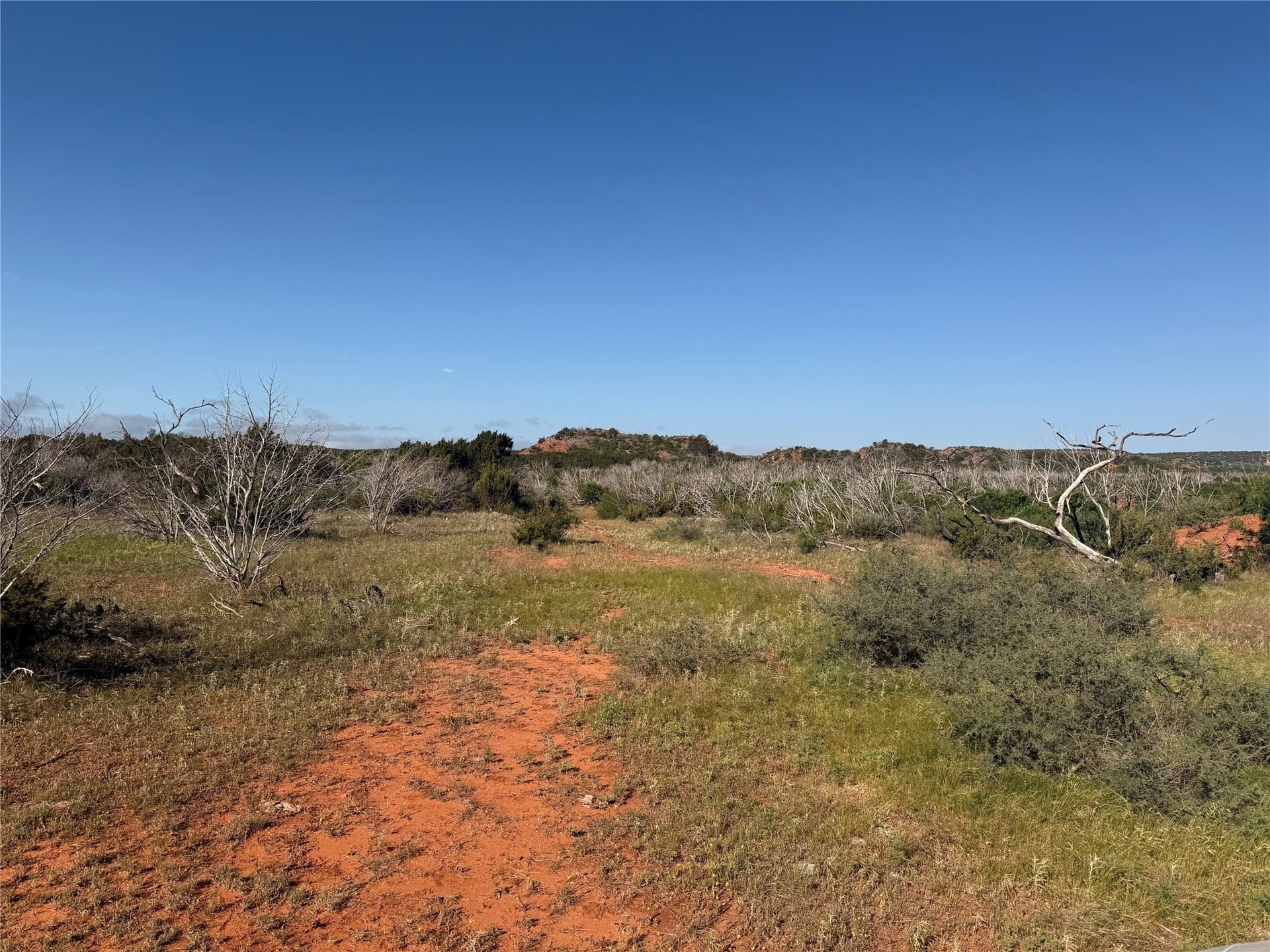 180 acres in Taylor County - photo 7