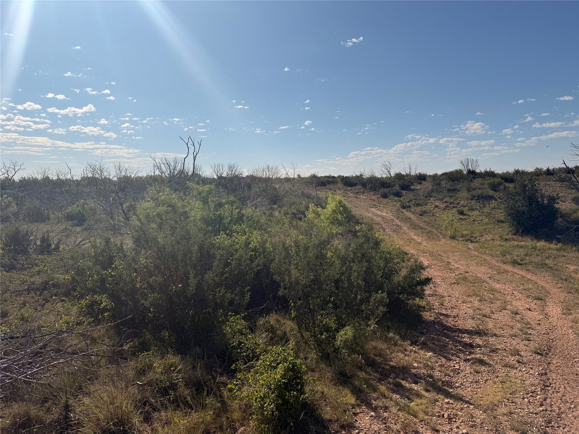 180 acres in Taylor County - photo 2