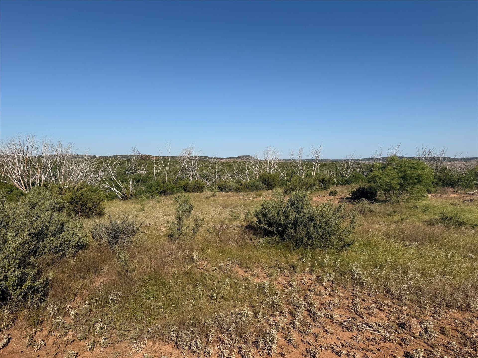 180 acres in Taylor County - photo 11