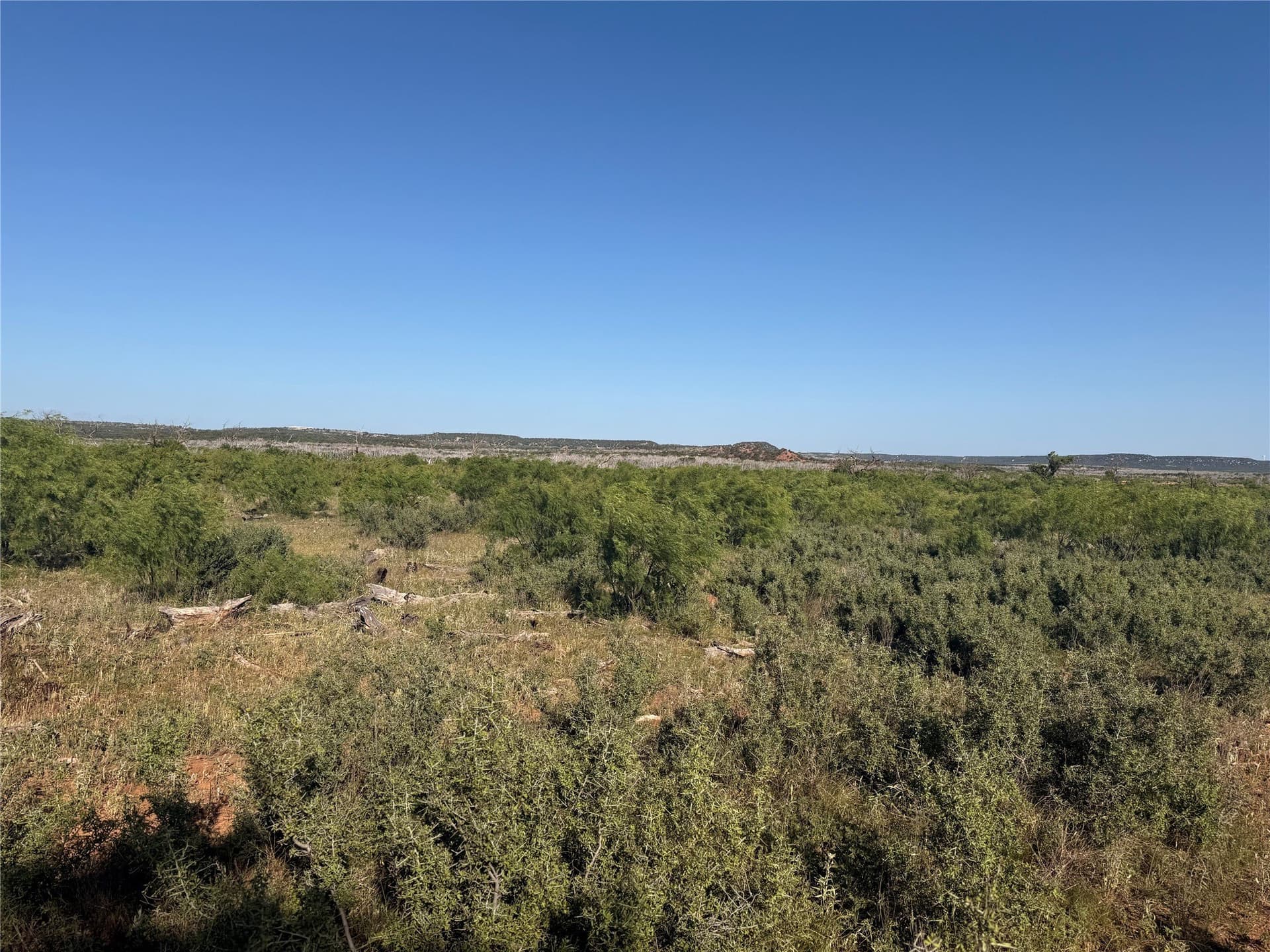 180 acres in Taylor County - photo 3