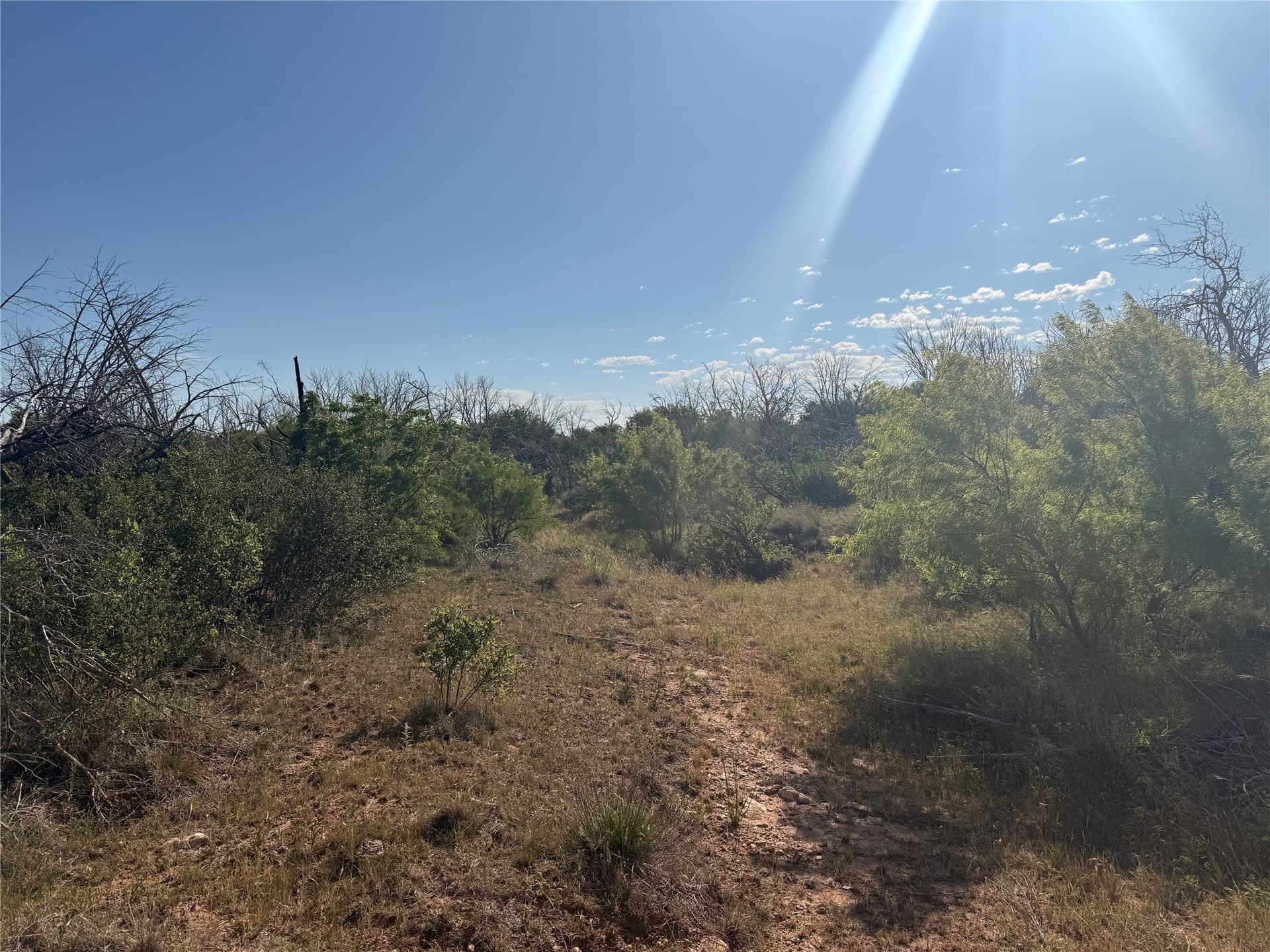 180 acres in Taylor County - photo 12
