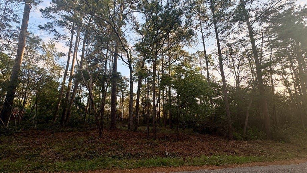 0.34 acres in Texas County gallery image 3