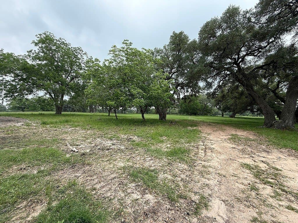 69.98 acres in Fayette County