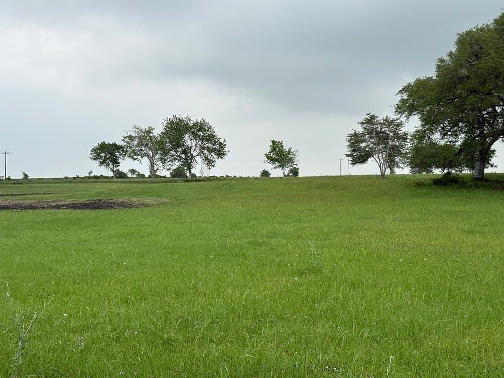 69.98 acres in Fayette County gallery image 4