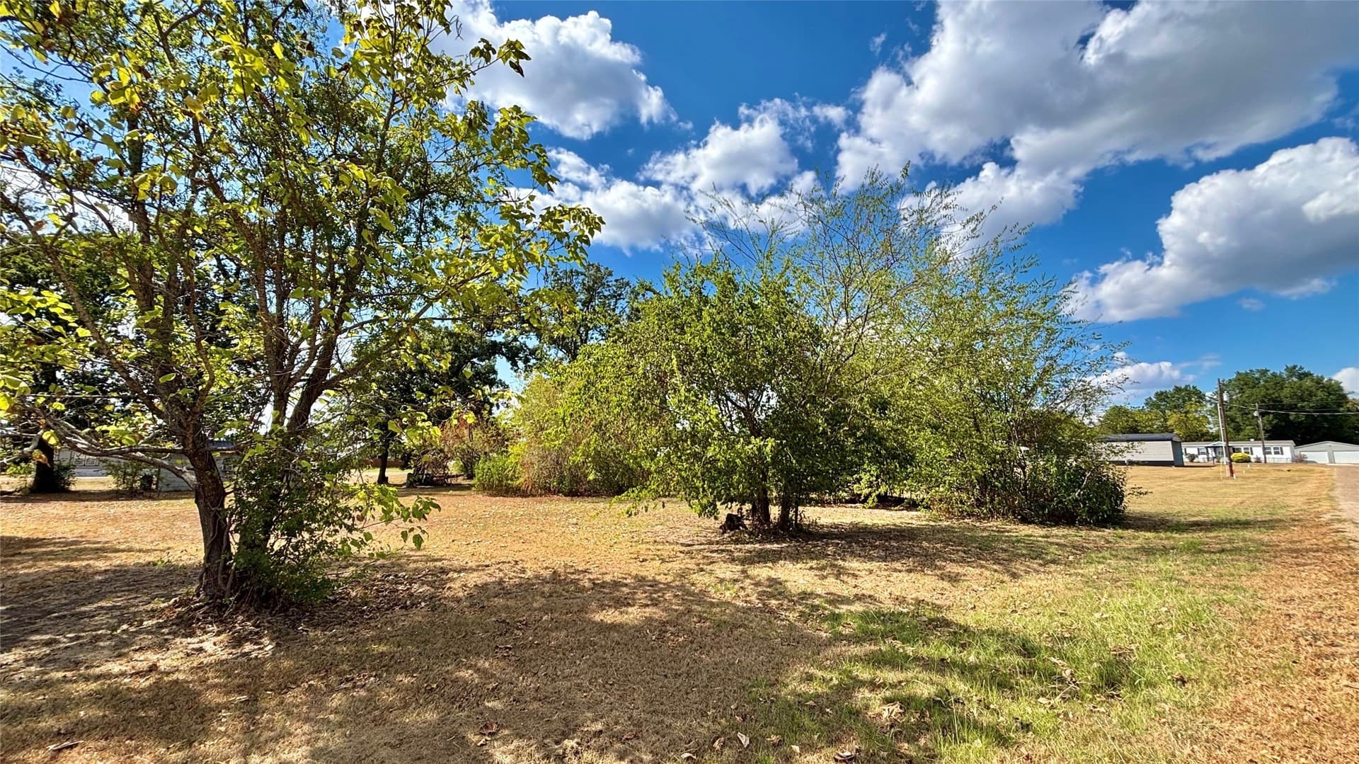0.25 acres in Wood County - photo 4