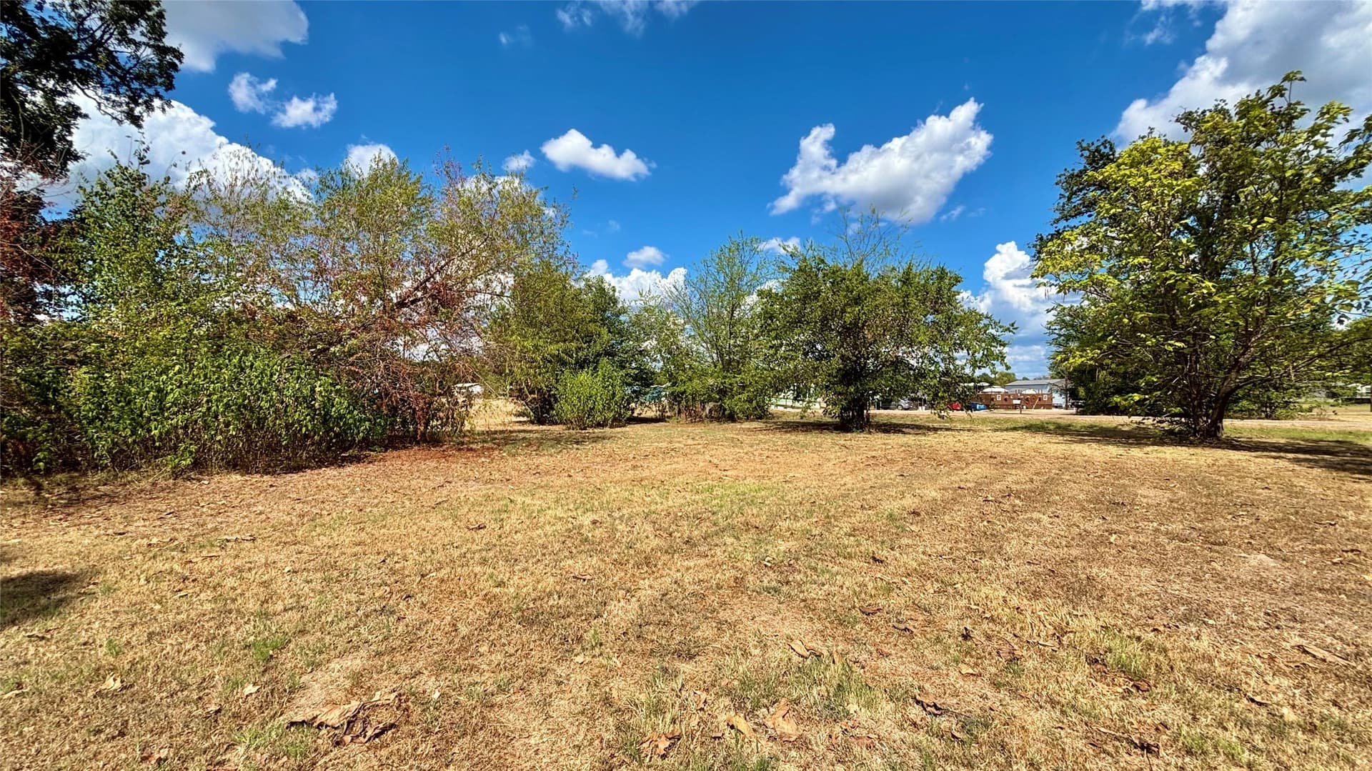 0.25 acres in Wood County - photo 7