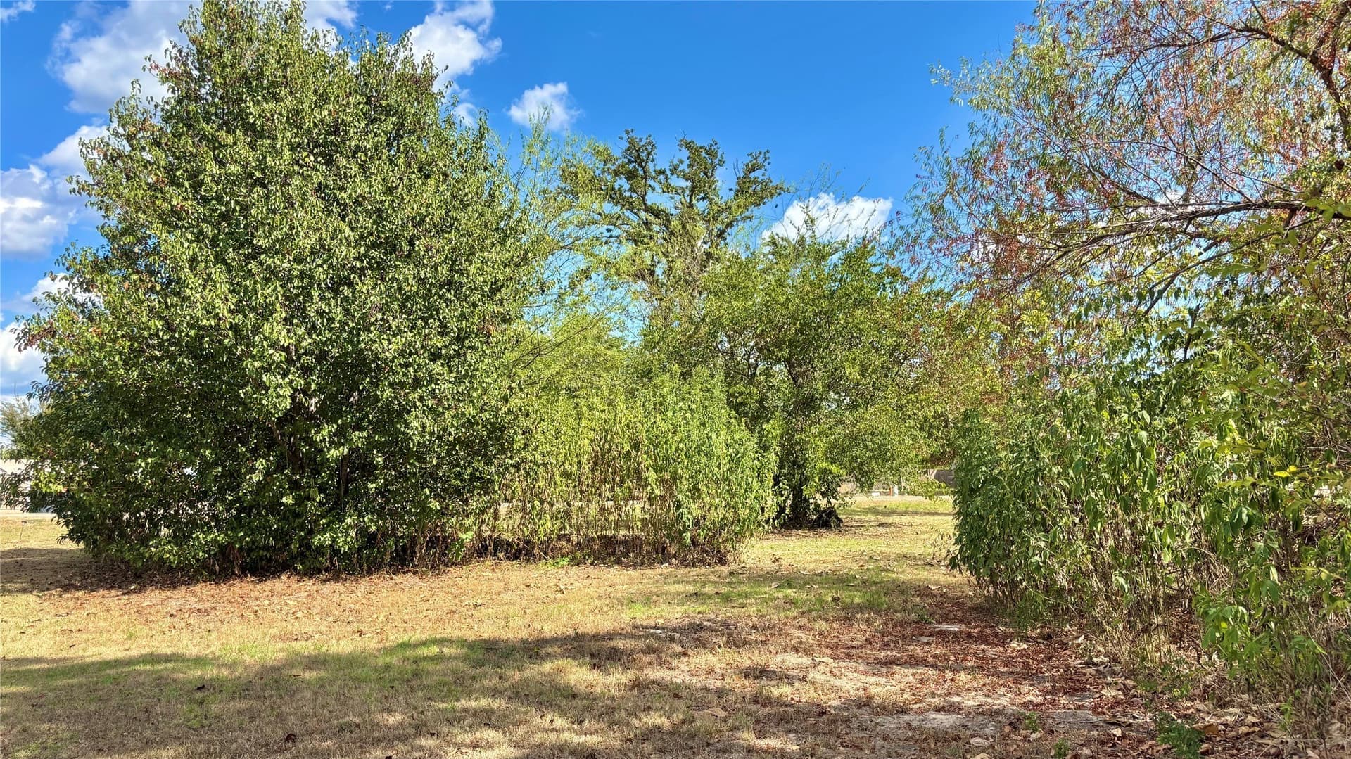 0.25 acres in Wood County - photo 8