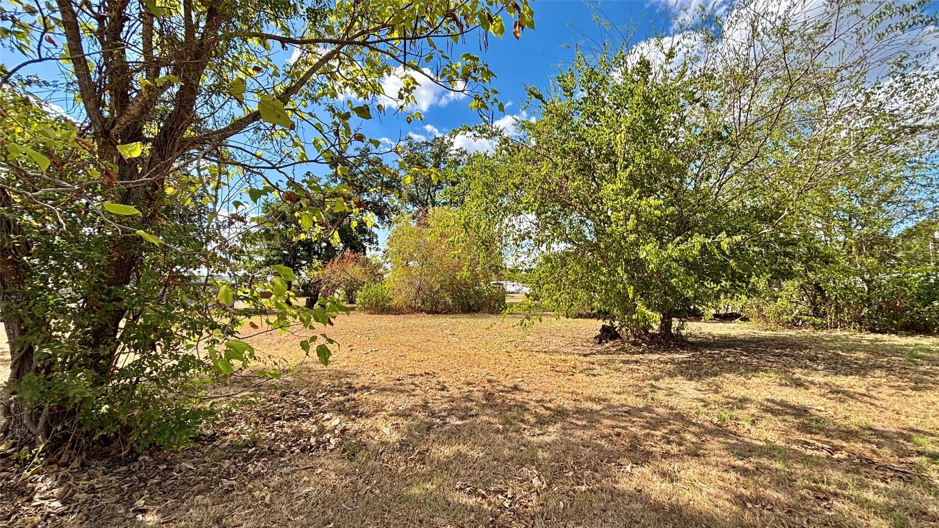 0.25 acres in Wood County - photo 2