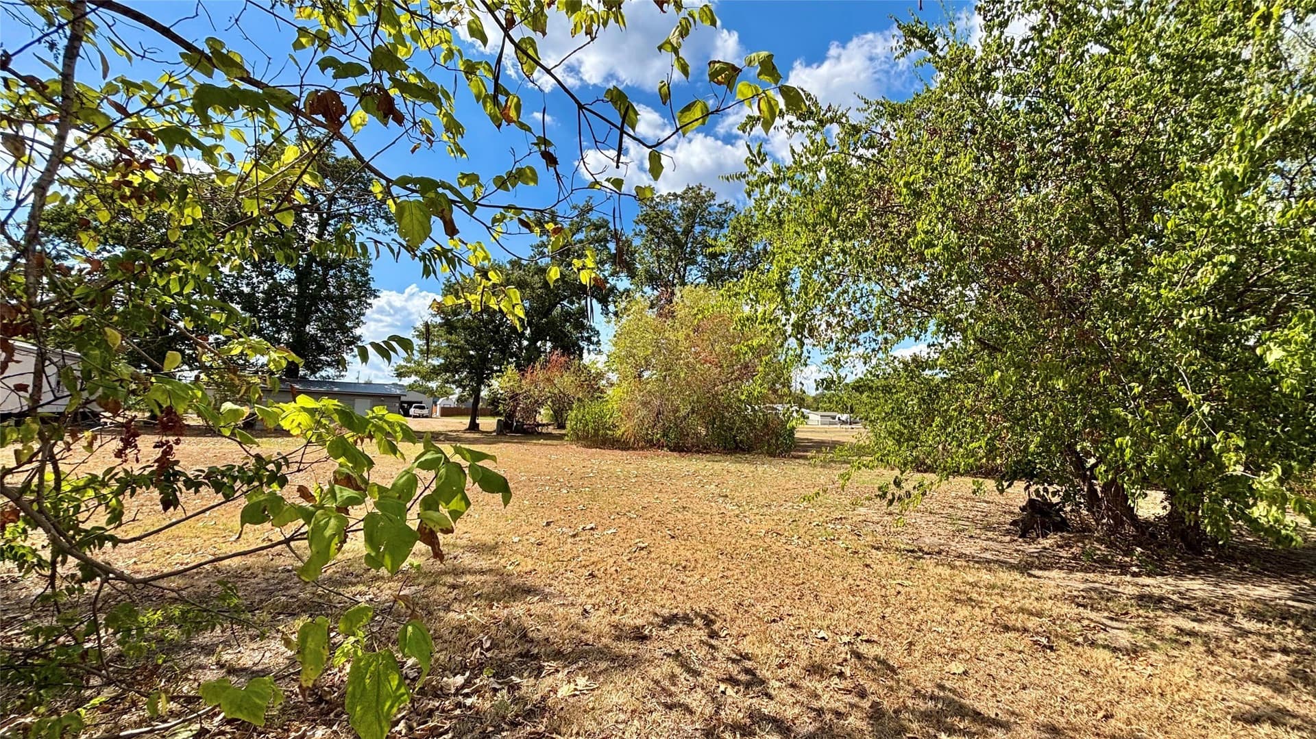 0.25 acres in Wood County - photo 5