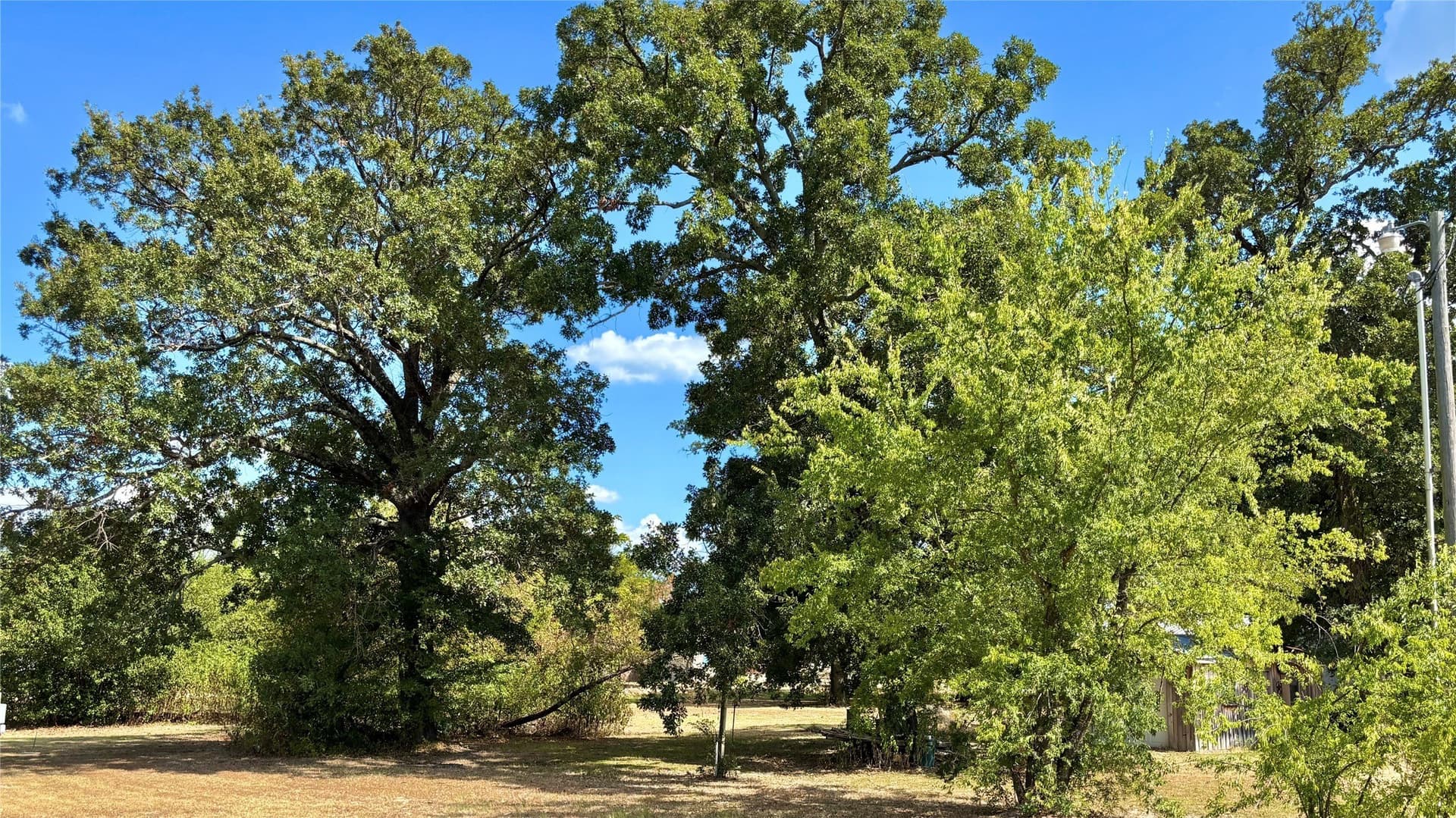 0.25 acres in Wood County