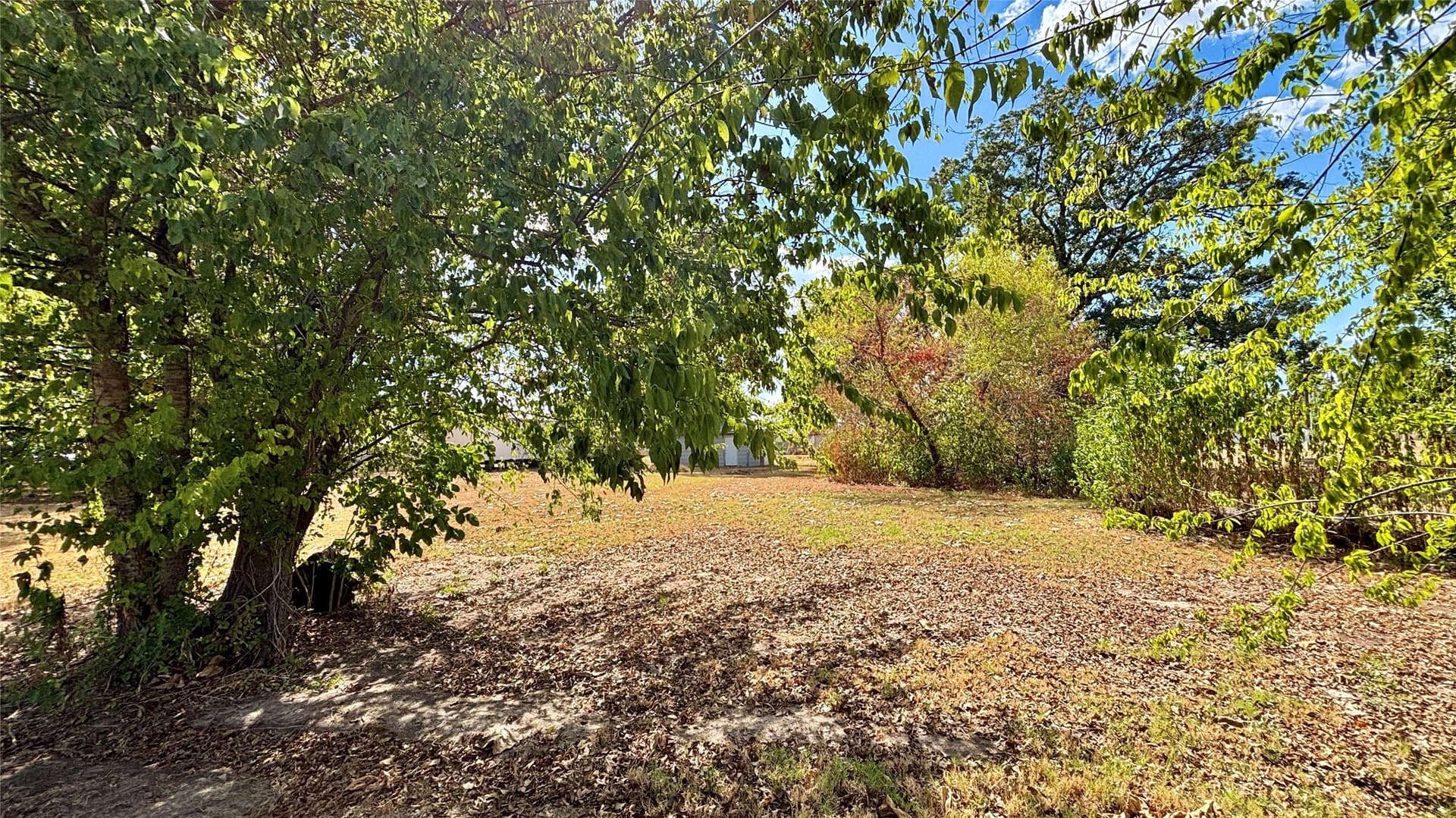 0.25 acres in Wood County - photo 3