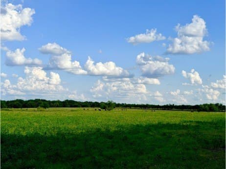 100.57 acres in Delta County - photo 23