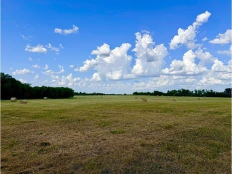 100.57 acres in Delta County - photo 4