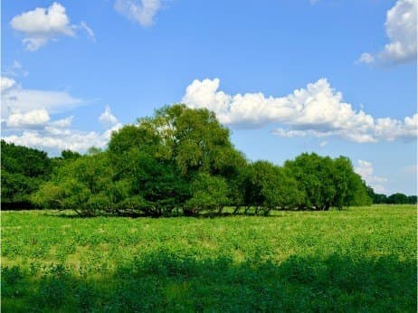 100.57 acres in Delta County - photo 24