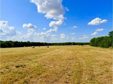 100.57 acres in Delta County - photo 11