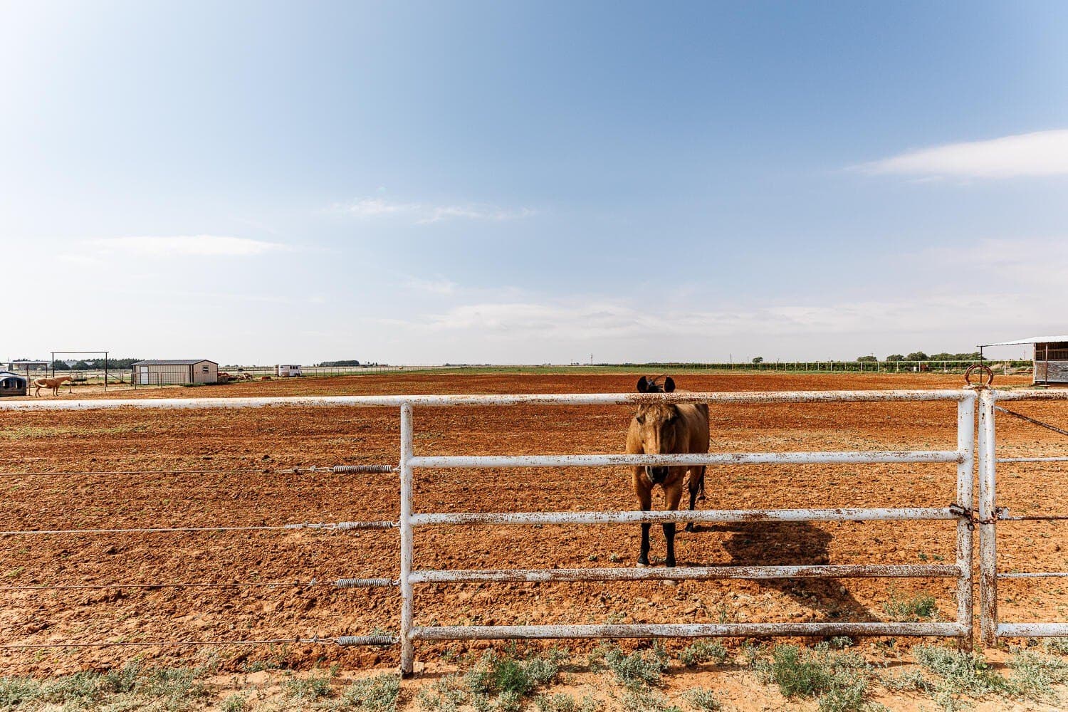 10 acres in Lubbock County - photo 58