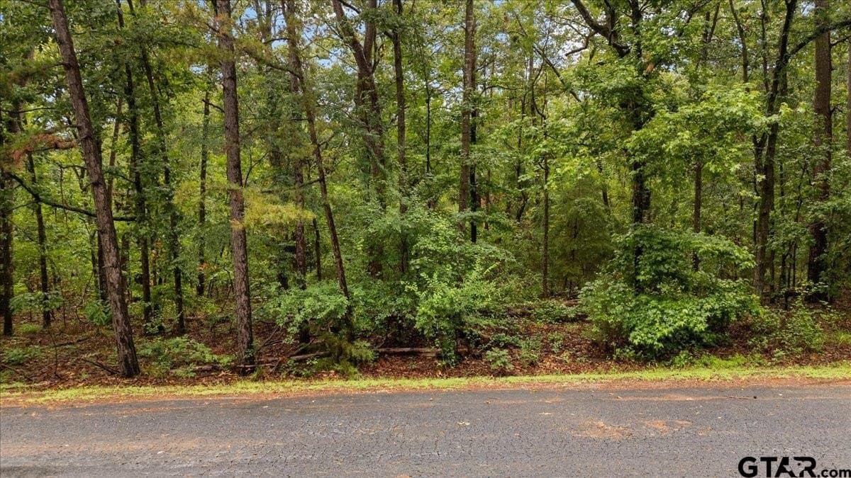 0.33 acres in Franklin County gallery image 3