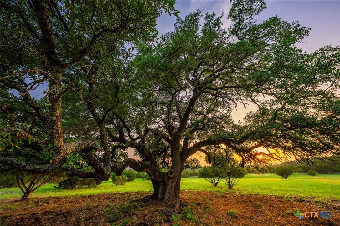 88 acres in Hamilton County - photo 31