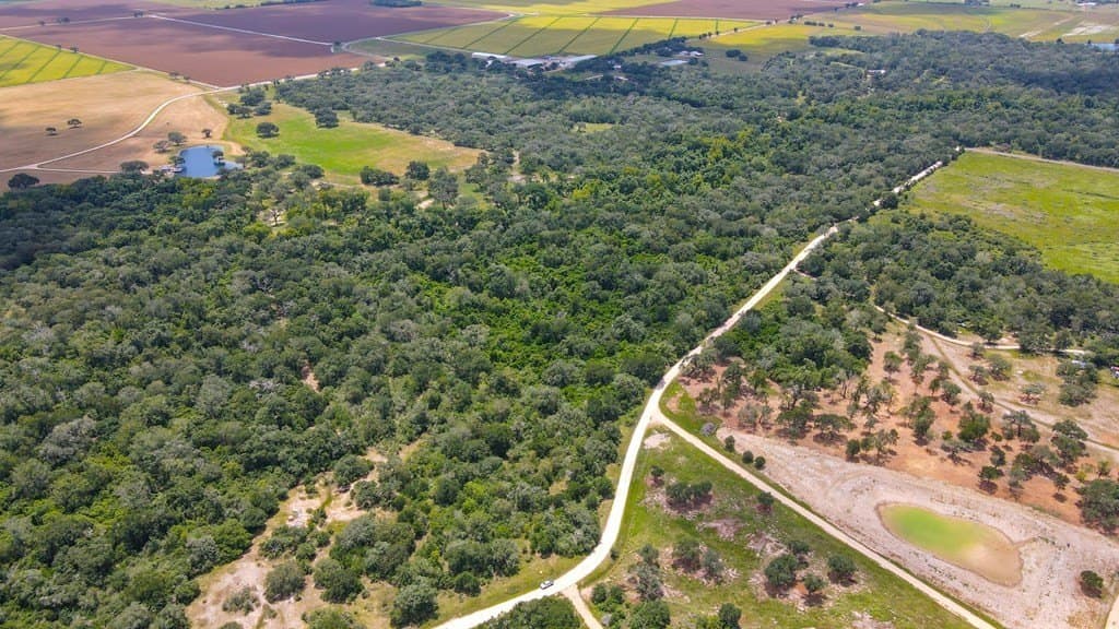 33.9 acres in Wharton Area County - photo 12