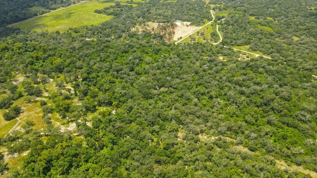 33.9 acres in Wharton Area County - photo 11