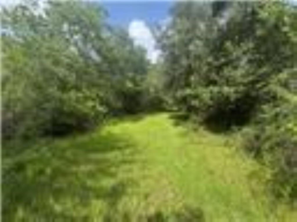 33.9 acres in Wharton Area County gallery image 4