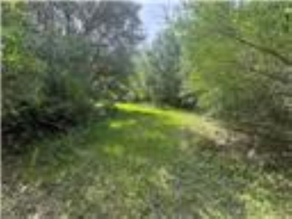 33.9 acres in Wharton Area County gallery image 2