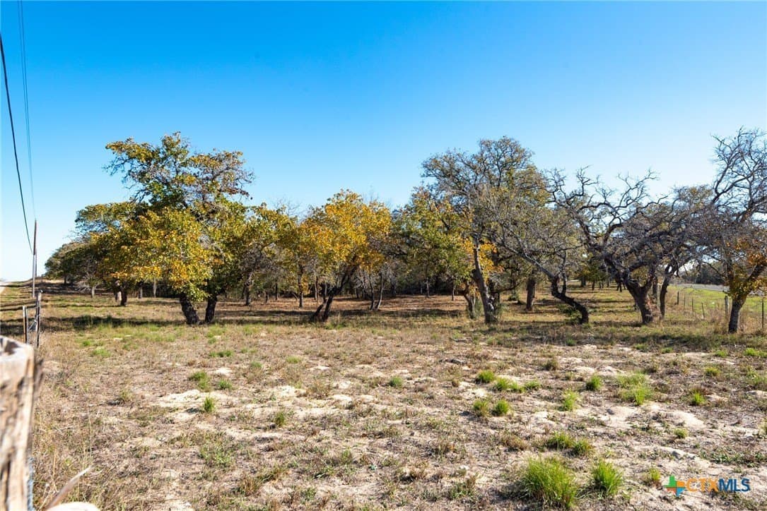 12.67 acres in Guadalupe County gallery image 2