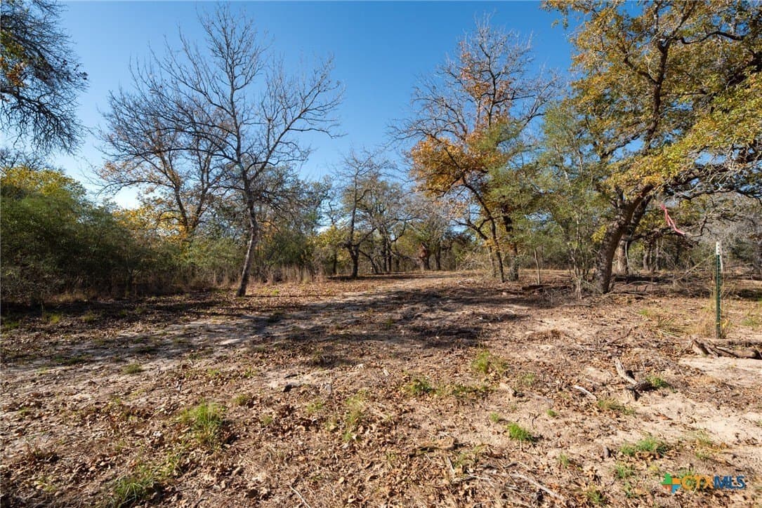 12.67 acres in Guadalupe County gallery image 4