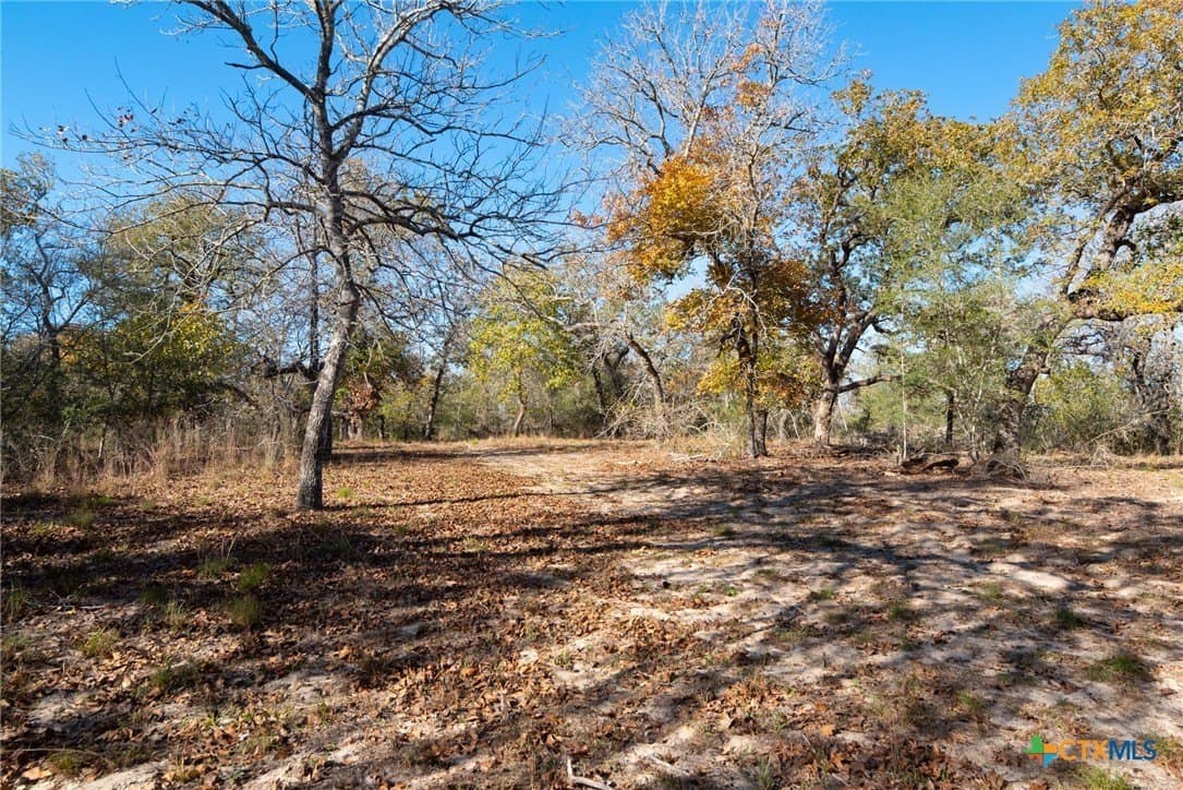 12.67 acres in Guadalupe County - photo 6
