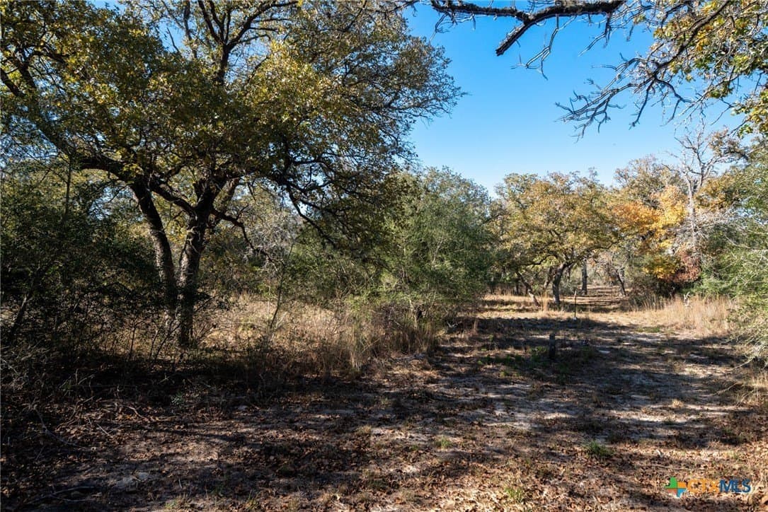 12.67 acres in Guadalupe County gallery image 2